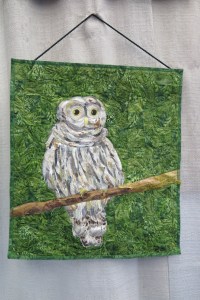 Whoot by Isabelle Jenkins - 2016 Challenge entry, inspired by "I Heard the Owl Call My Name" by Margaret Craven