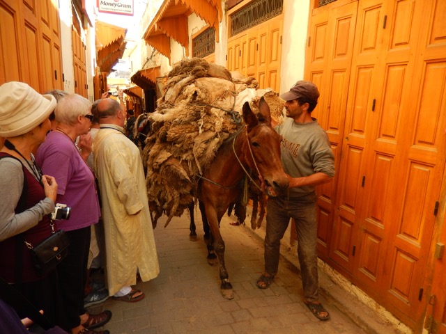 morocco-bev-d-fez-medina-image003