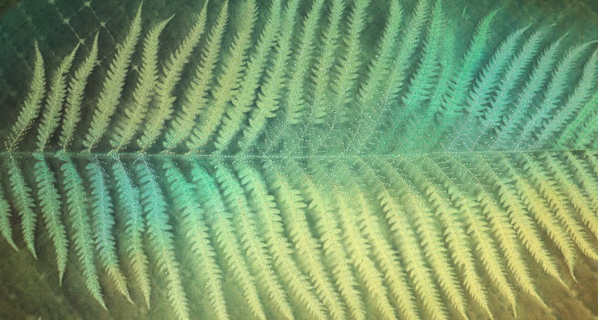 Botanical Reflections – A Quilt Show at VanDusen&nbsp;Garden