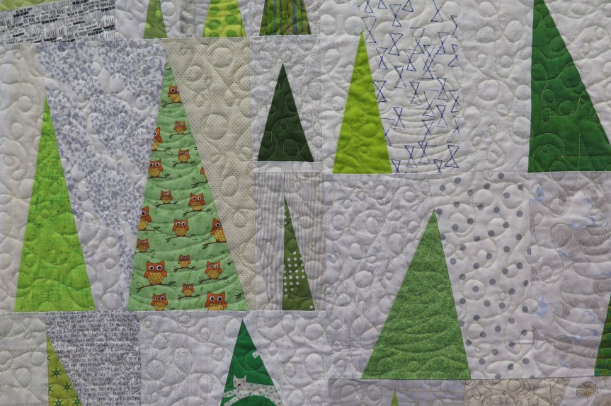 Quilts Bloom at the Lions Gate Quilters’ Guild&nbsp;Show