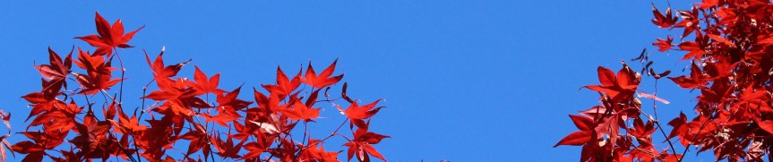 October 2018 – Members Teaching&nbsp;Members